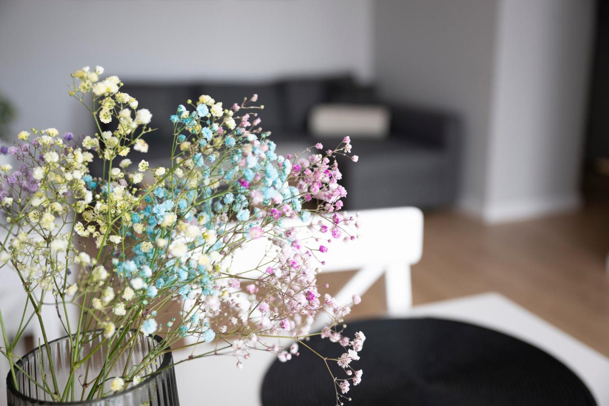 Apartamenty Deluxe Gdańsk Eksteriør bilde